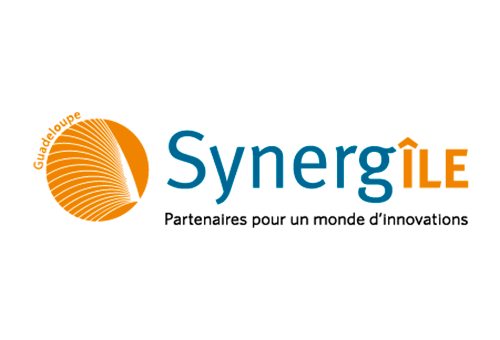 Logo Synergile